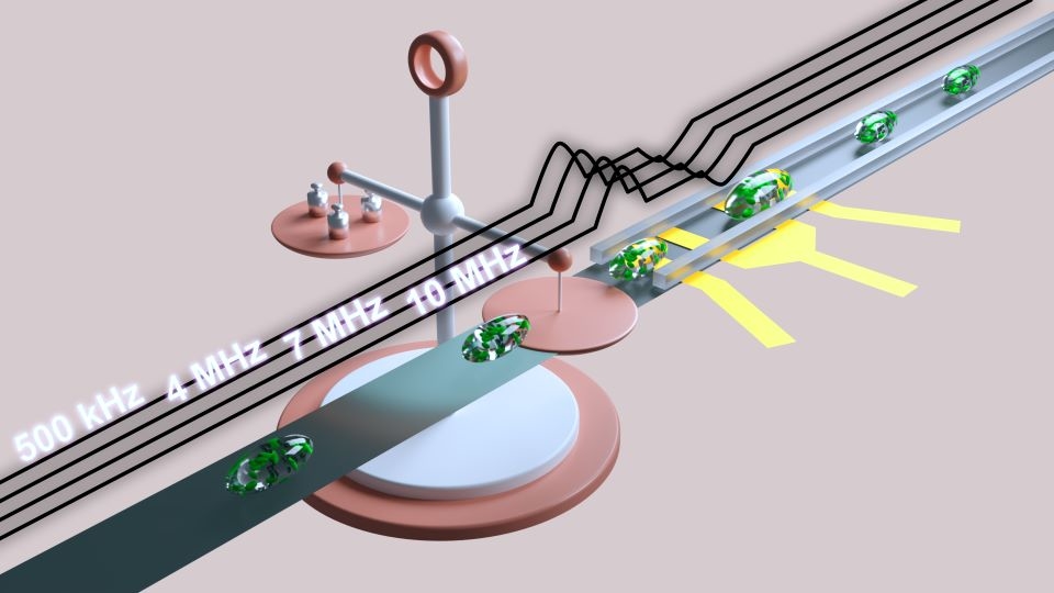 From outside to inside: a rapid and precise total assessment method for cells