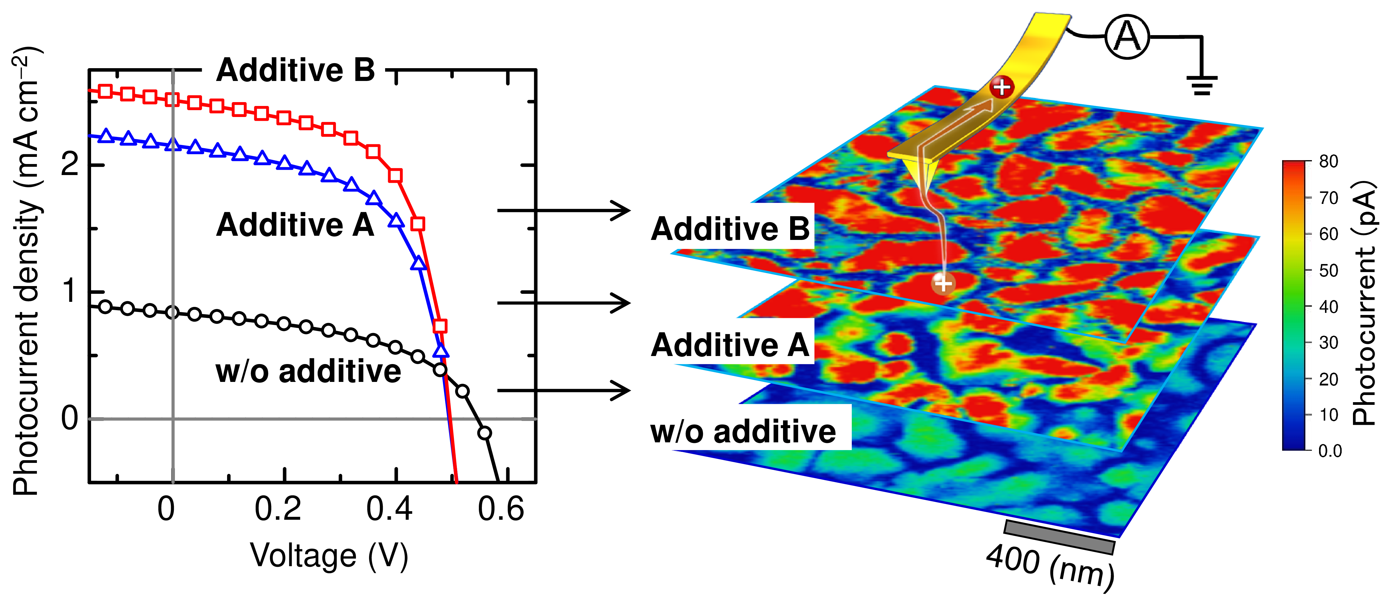 Shedding light on polymer solar cells: Illuminating how solvent additives improve efficiency