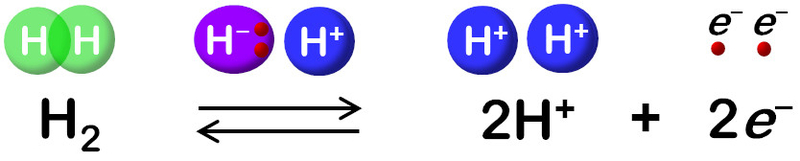 Microorganisms build the best fuel efficient hydrogen cells