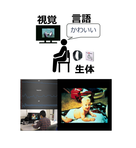 【プレスリリース】視覚・生理・言語情報を統合し「感情概念」を形成する計算モデルを開発 ～ヒトの情動を理解し、有効なコミュニケーションの構築に期待～