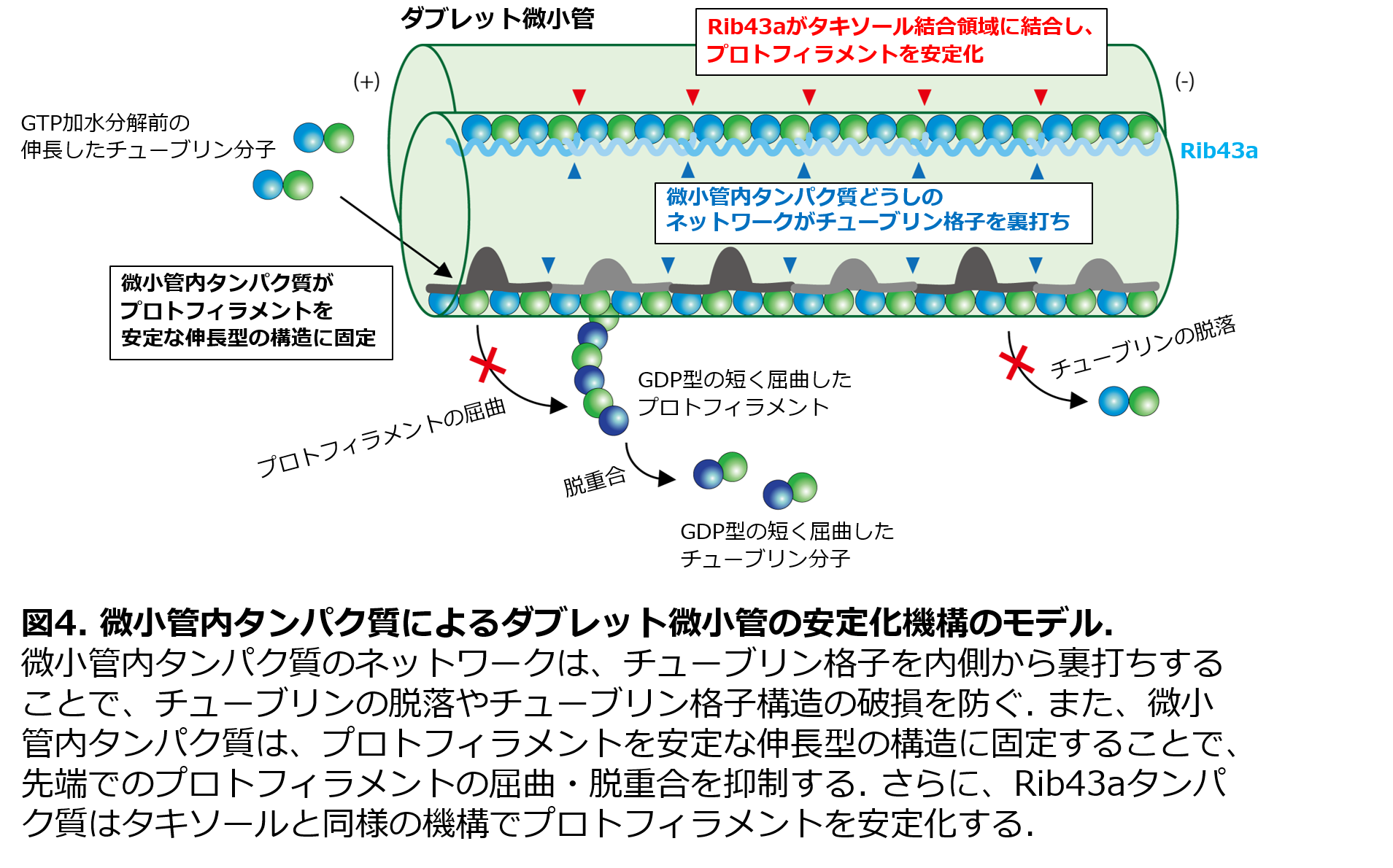 図4