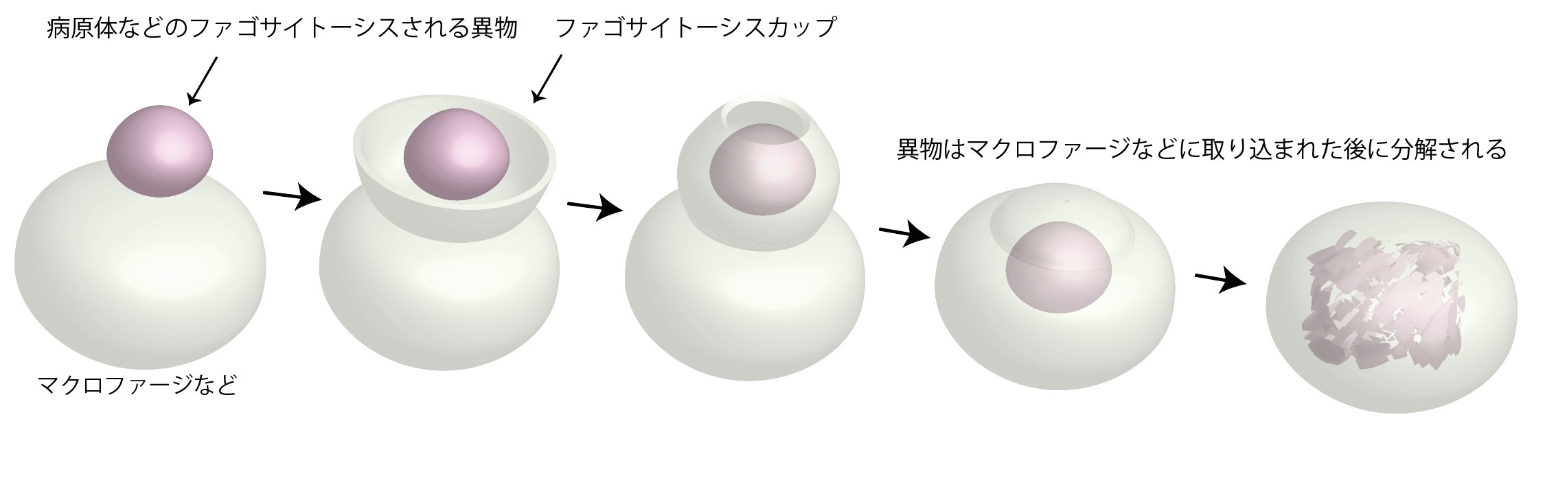 図1