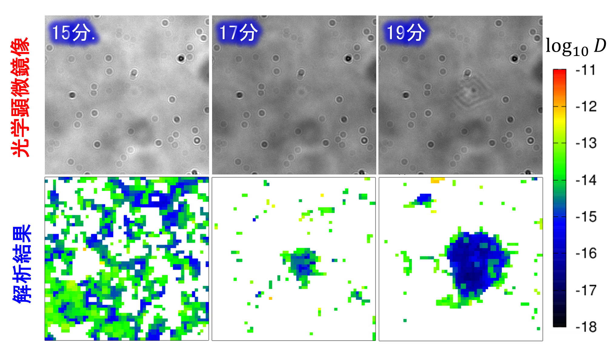 Fig.1
