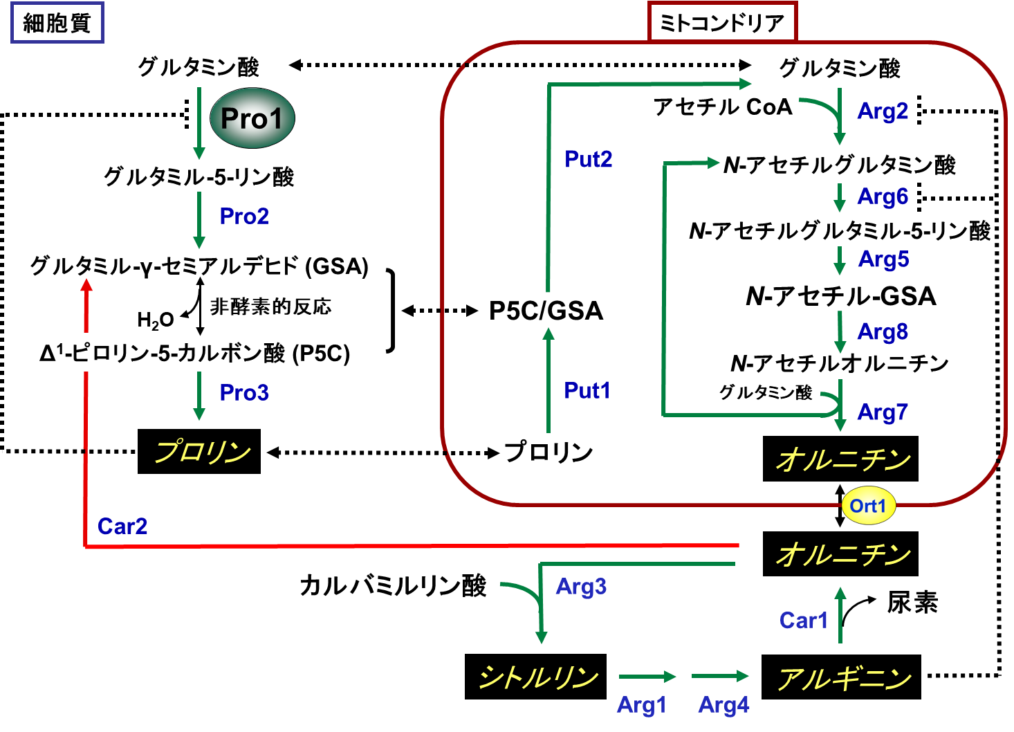 図1
