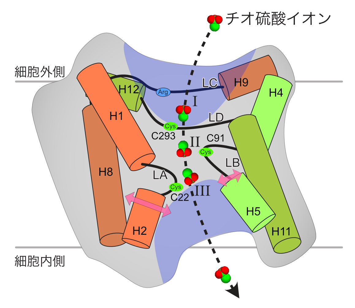 図4