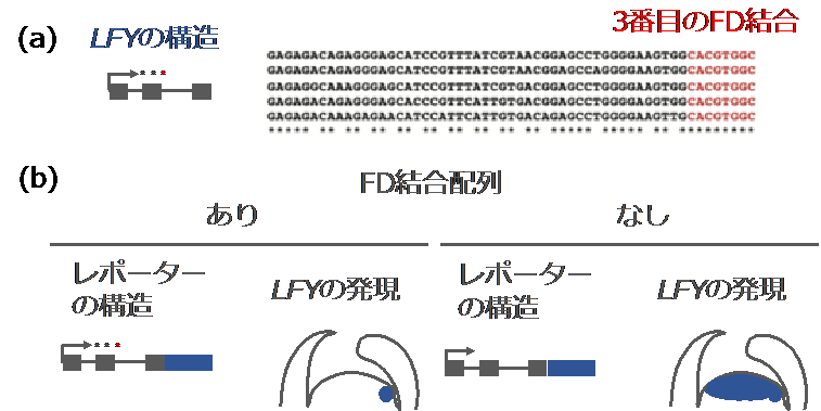 図2