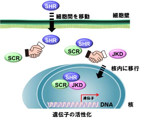 図2-2