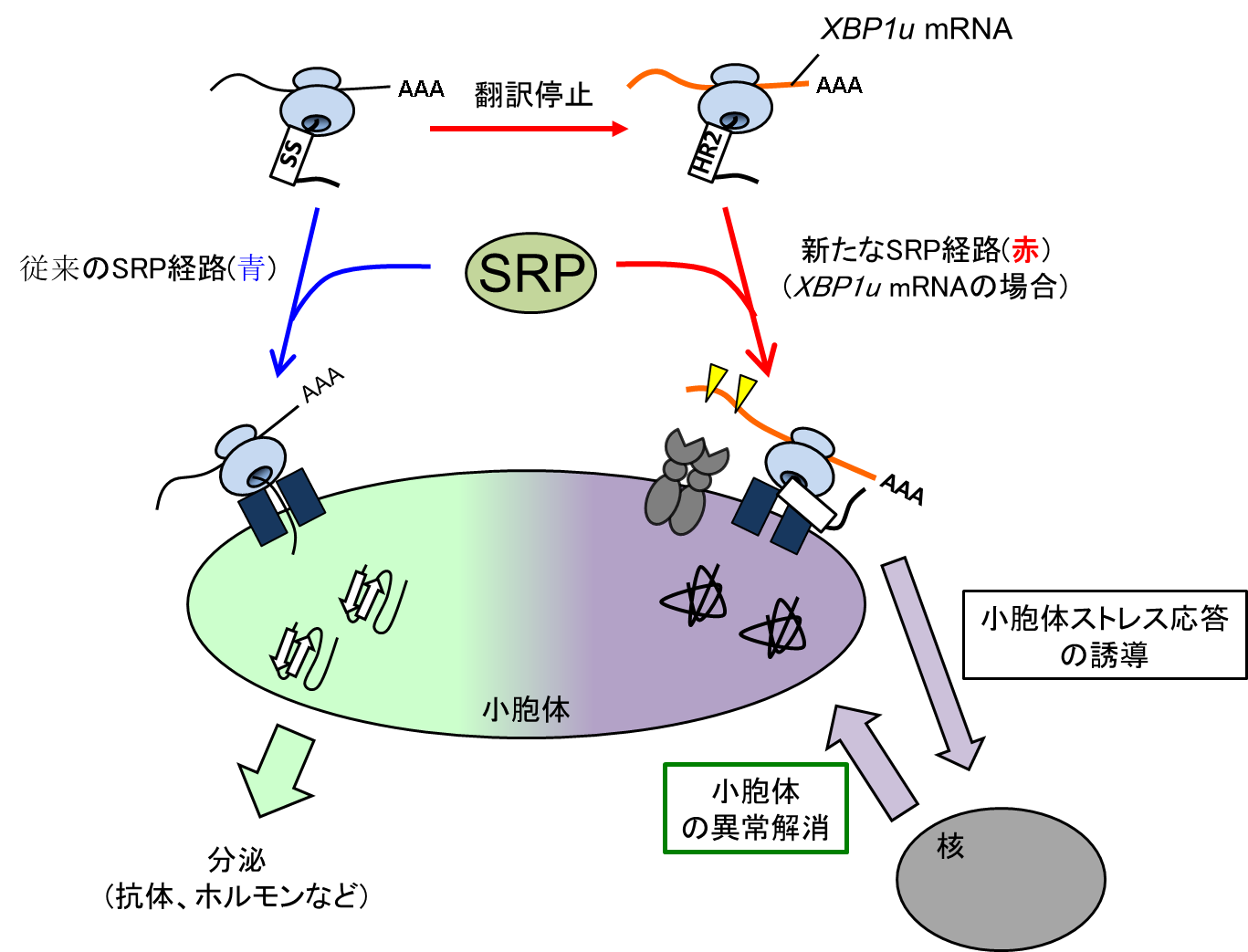図1