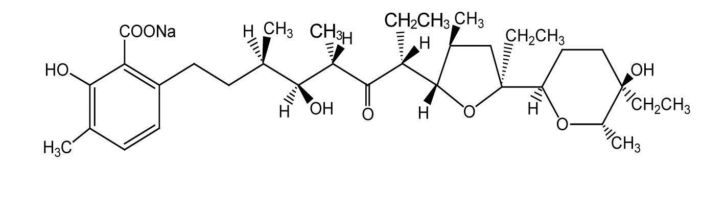 図1