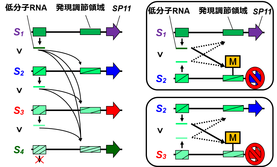 図1