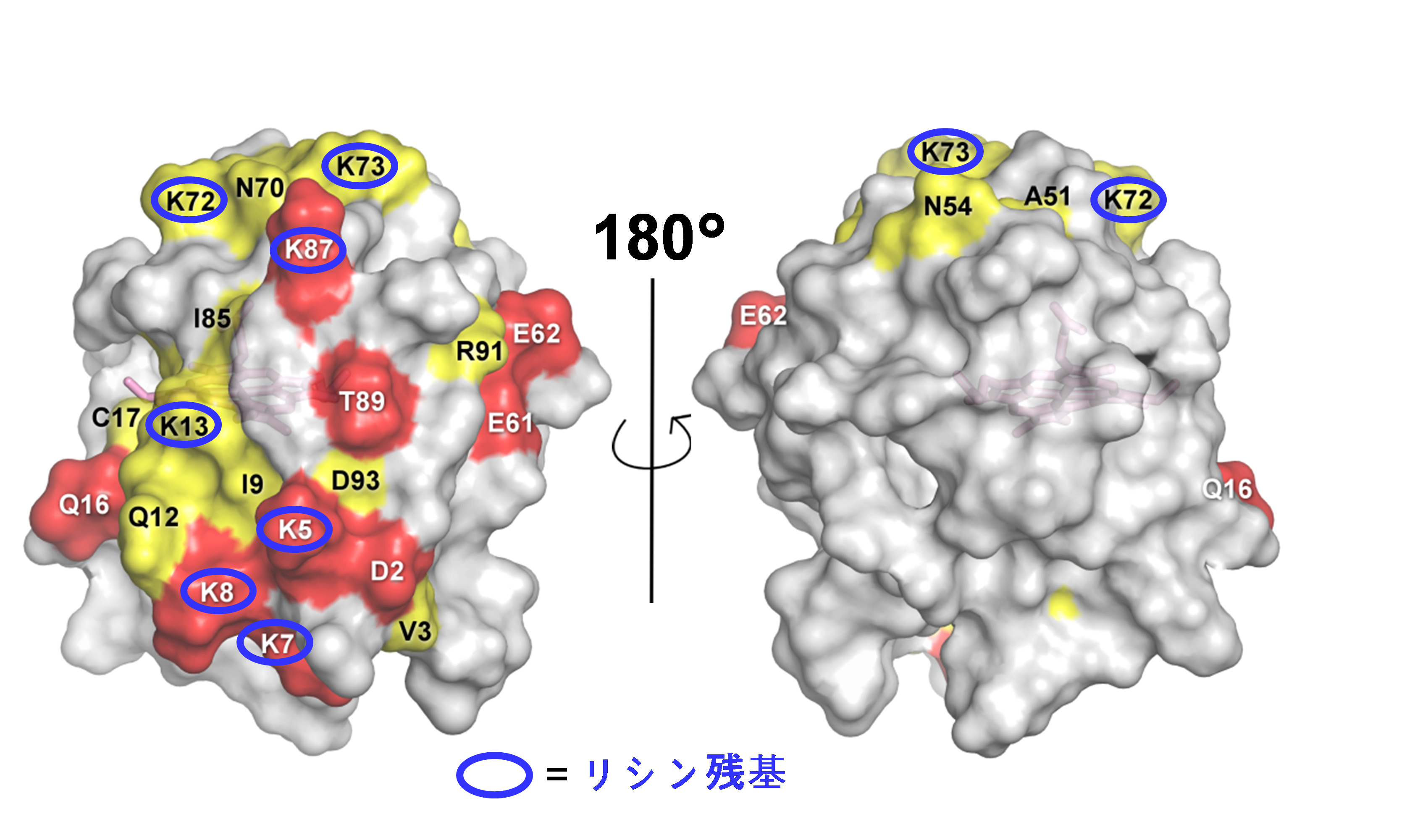 図2