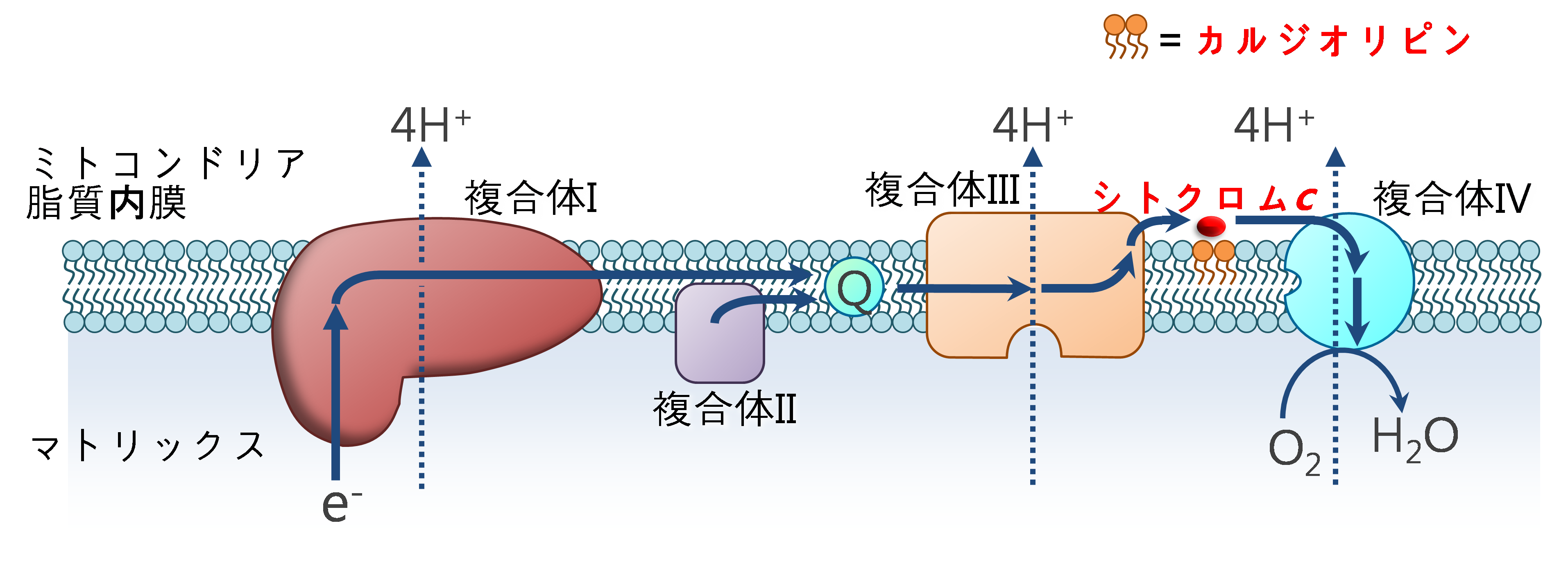 図4