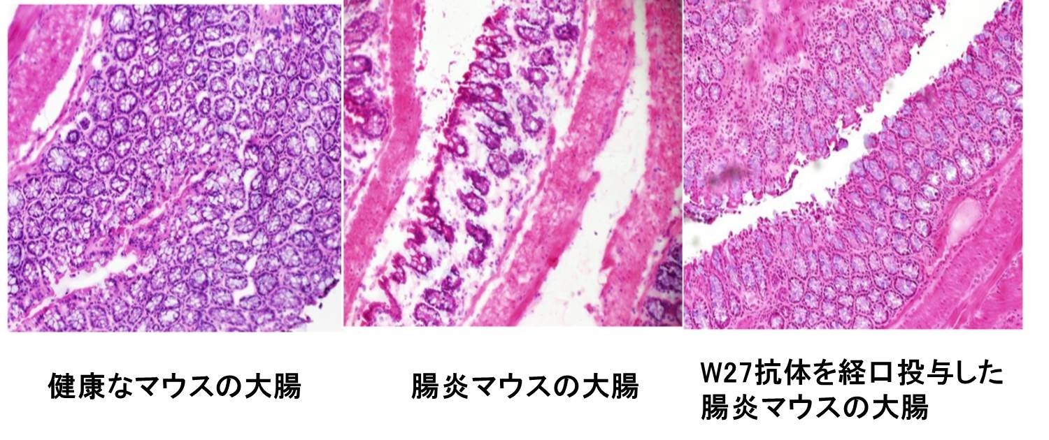 図2